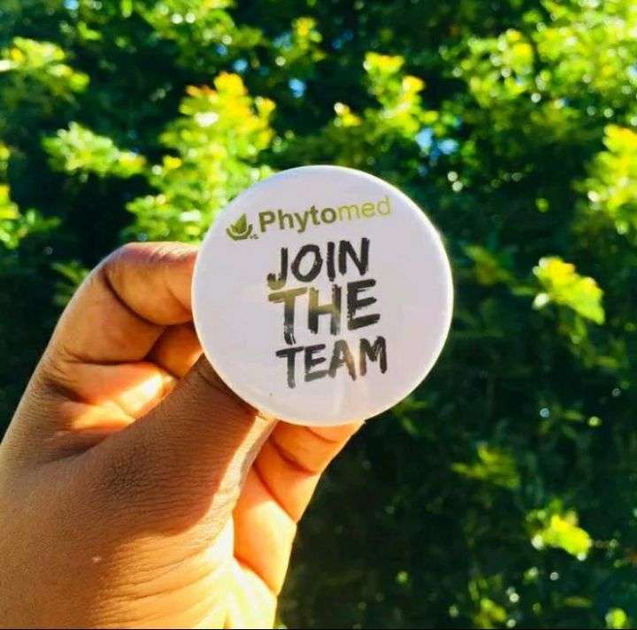 Phytomed 300% Profit Business group picture