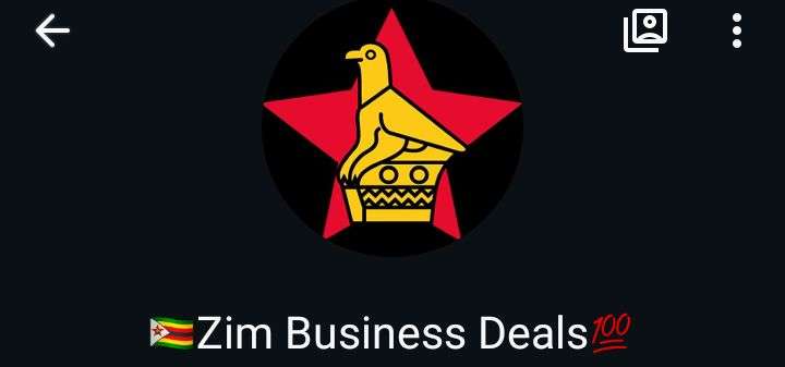 Zim Business Deals group picture