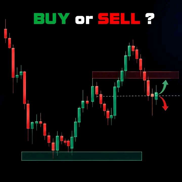 Beginners Trading Guide  group picture